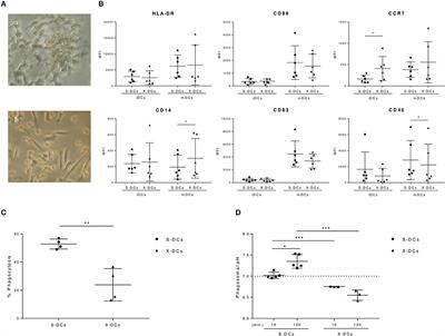 Tumor-Derived Microvesicles Enhance Cross-Processing Ability of Clinical Grade Dendritic Cells